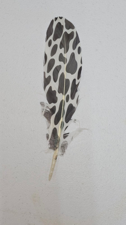 Hand printed cow print feather