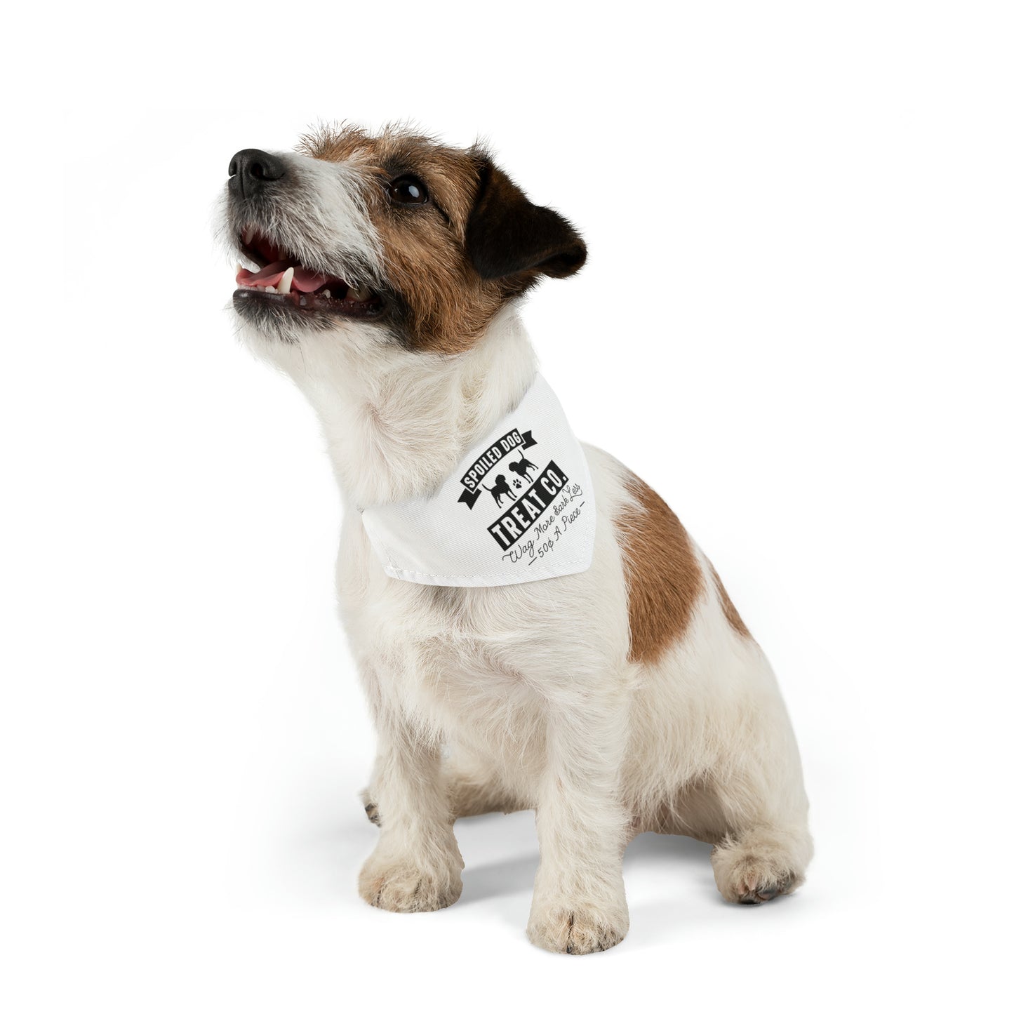Spoiled Dog Treat Co. pet bandana